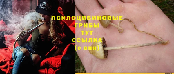 круглые Алзамай