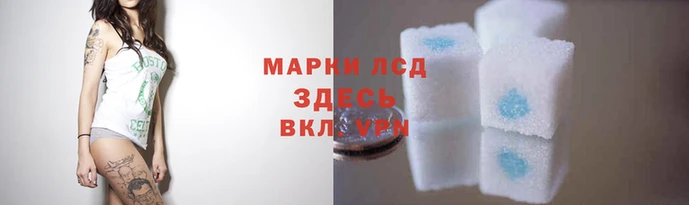 spice Алексеевка