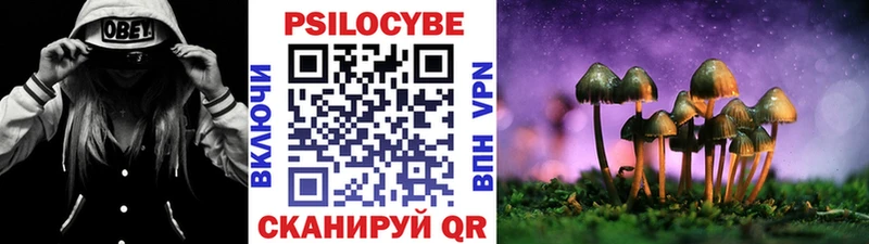 Галлюциногенные грибы Psilocybine cubensis  Среднеколымск 